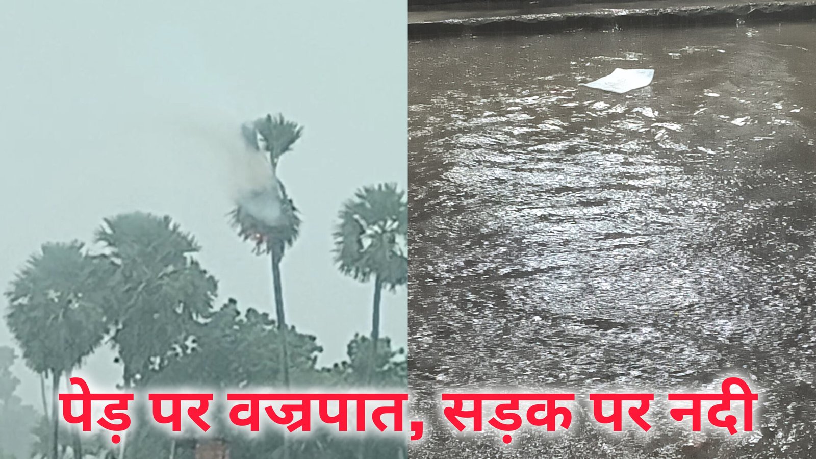 मूसलाधार बारिश, पेड़ पर वज्रपात, सड़क पर नदी