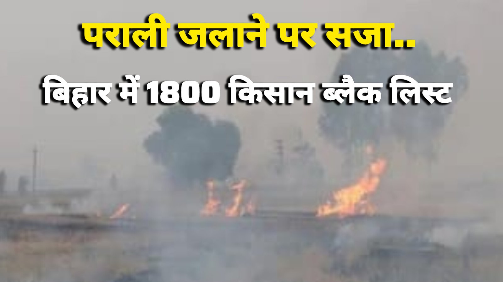 पराली जलाने पर कड़ा एक्शन: 1800 किसान सरकारी योजनाओं से वंचित