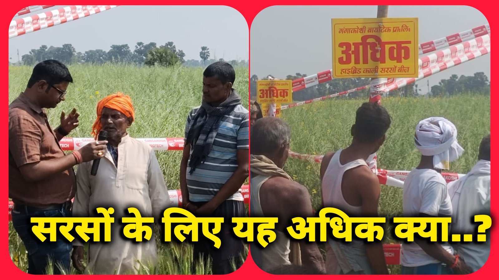 शेखपुरा,:  किसान गोष्ठी में अधिक सरसों के लिए अधिक की बात