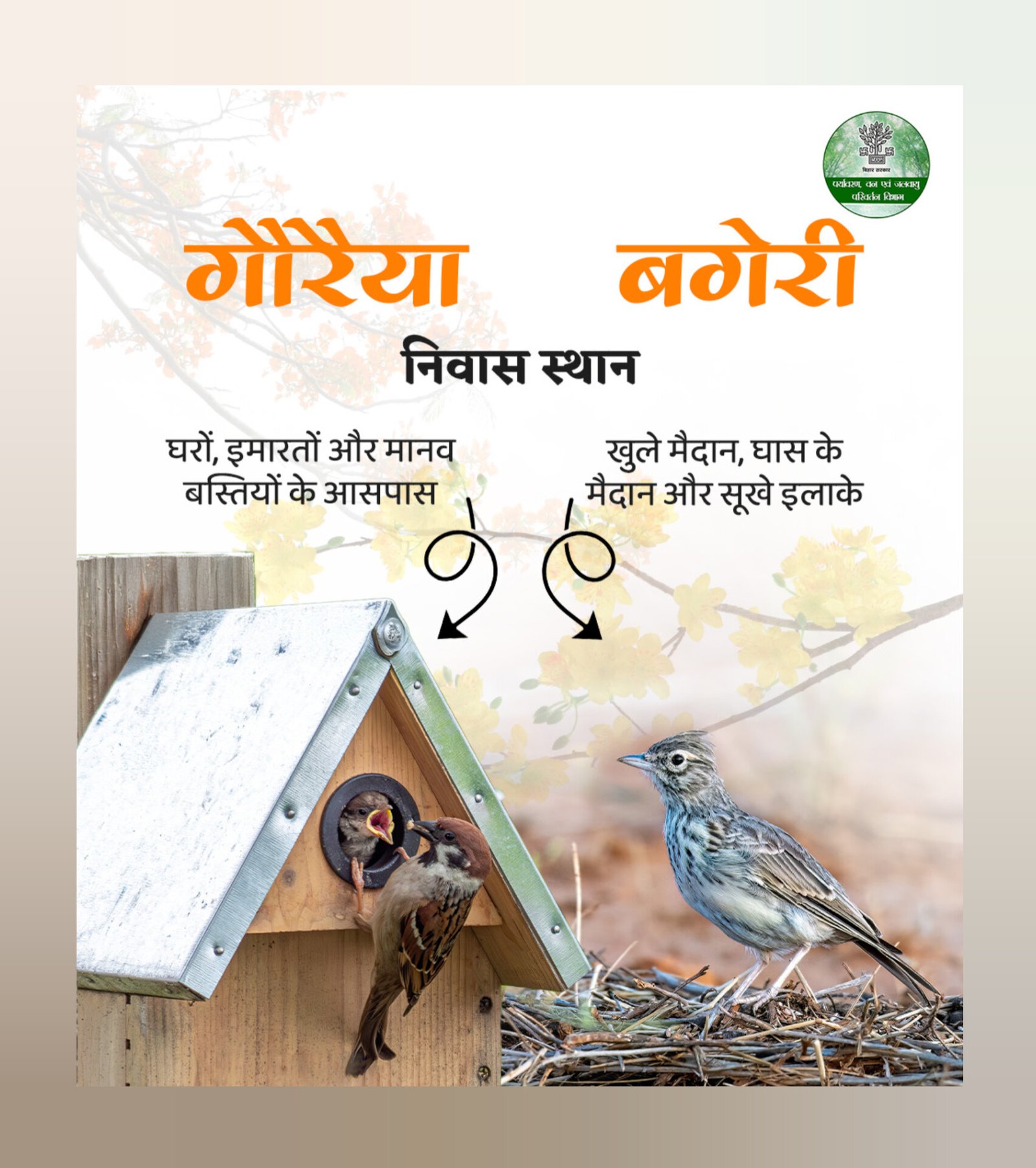 गौरैया संरक्षण अभियान से बढ़ी जागरूकता, बचाने की मुहिम तेज